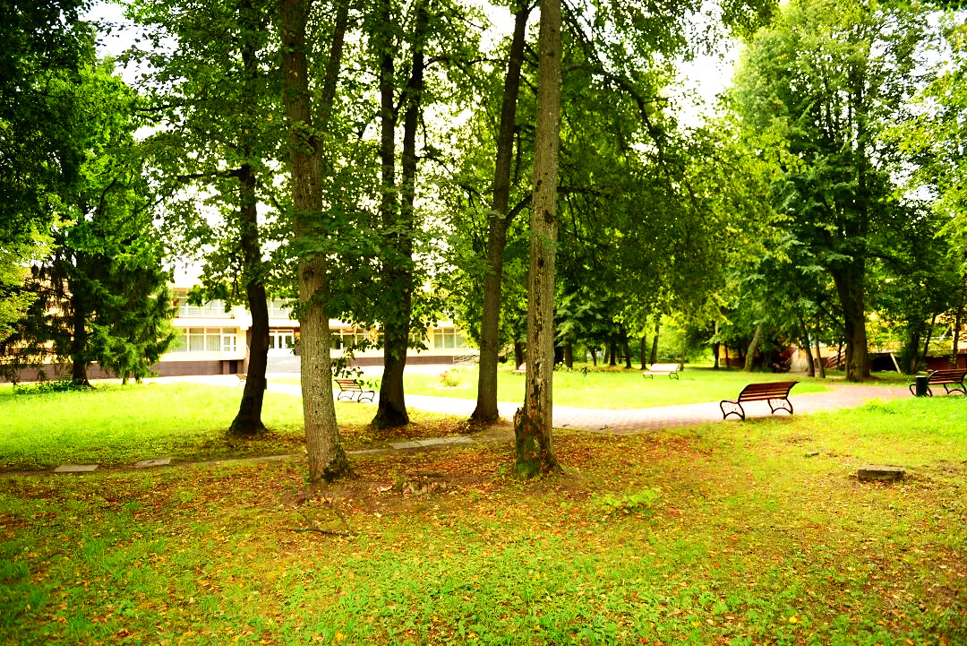 Детский лагерь рядом с Подольском — АйДаКемп