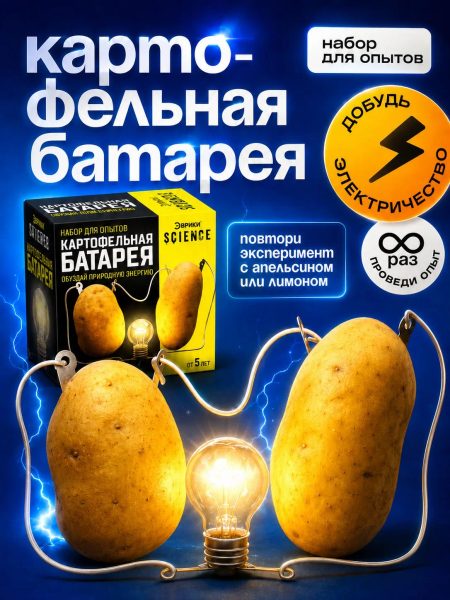 «Картофельная батарейка»