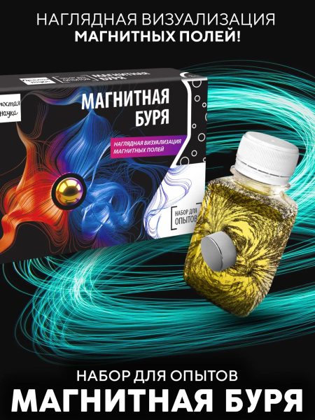 «Магнитная буря» — опыты с магнитами