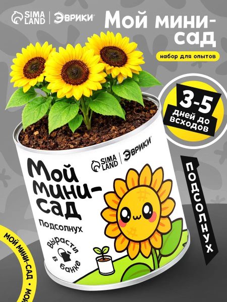Мини-сад «Подсолнух»
