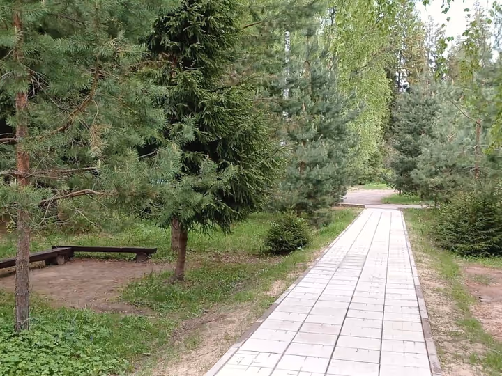 Мощёная аллея через лес
