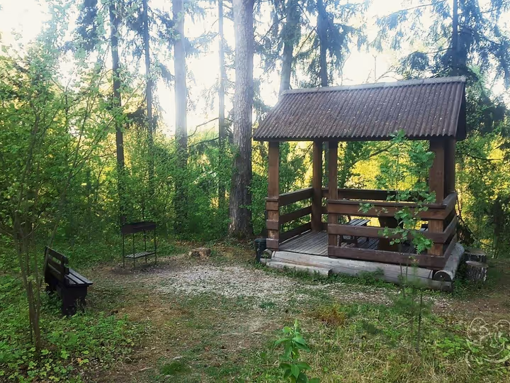 Беседка в лесу