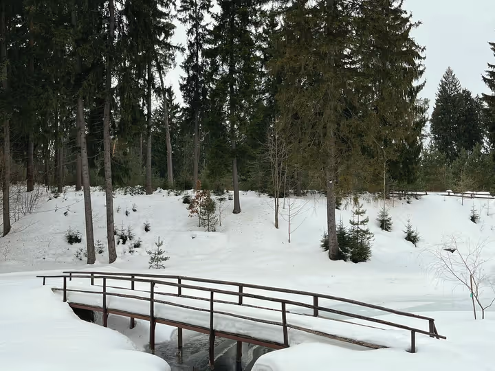 Мостик через ручей зимой